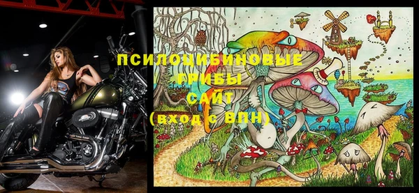 MDMA Заводоуковск