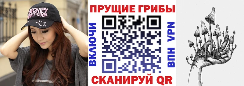 Псилоцибиновые грибы Psilocybe  Купить закладки  Октябрьск 